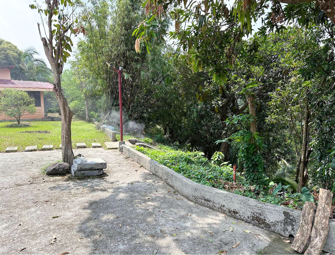 Lot for Sale in Laguna