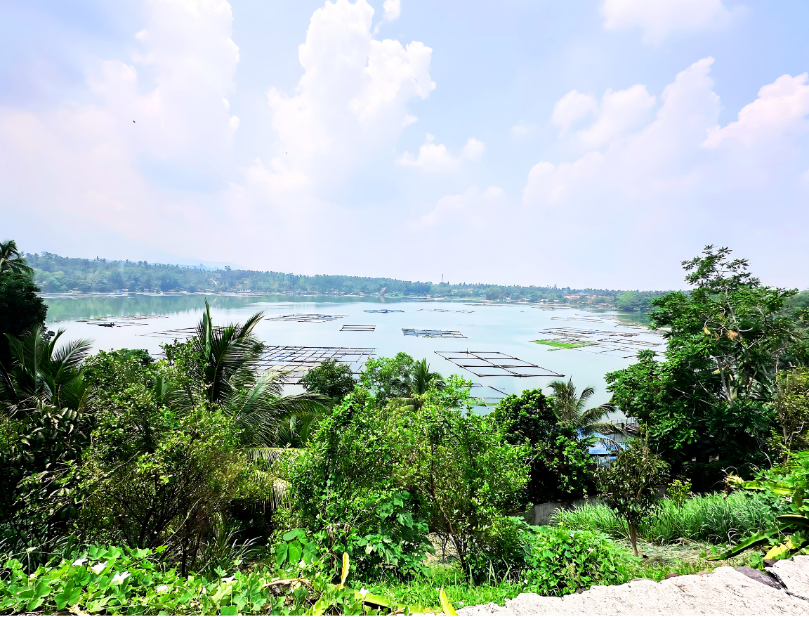 Lot for Sale in Laguna